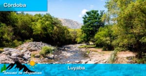 Luyaba