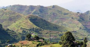 Best Activities in Rushaga Sector