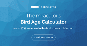How Much Bird Years in a Human Year