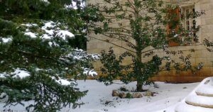 British house in wet winter weather