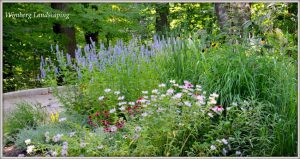 Read more about the article Bring on the Color and Pollinators
