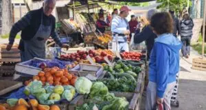 Lee más sobre el artículo El 76% de los endeudados recurre al crédito para pagar alimentos, salud y servicios