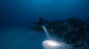 Buceo Nocturno