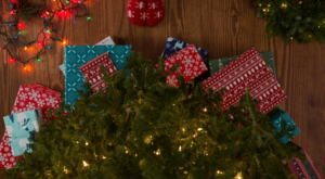 Amazon Holiday Sales Performance Featured Image