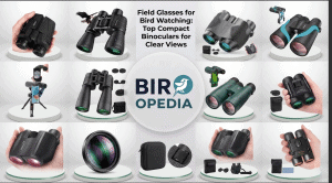 Field Glasses for Bird Watching
