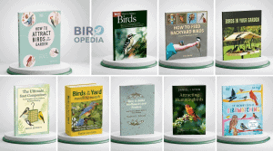 How to Attract Birds With Food 10 Amazing Garden Tip