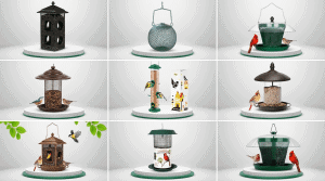 Top Sunflower Seed Bird Feeders That Actually Work