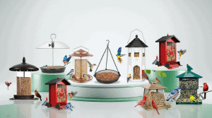 Bird Feeder for Large Birds: Complete Buying Guide