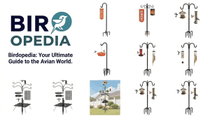 Bird Feeder Poles And Hangers