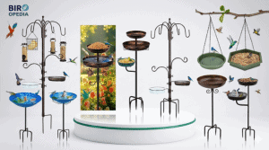 Bird Bath Feeders
