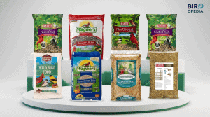 Winter Bird Feeding: Best Seeds for Cold Weather