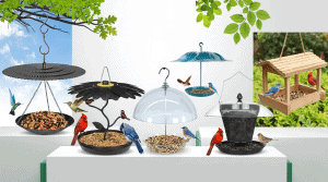 Top Covered Bird Feeders