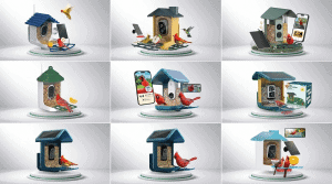 Smart Feeder Bird with Camera: Best Bird Watching Device