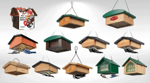Upside Down Suet Bird Feeder: Squirrel-Proof Cedar Feeder for Woodpeckers