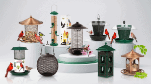 Bird Sunflower Seed Feeder