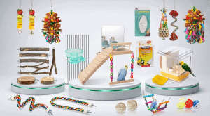 Bird Cage Accessories 2026: Top Picks for Happy Healthy Birds