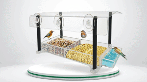 Metal Window Bird Feeder: Is the Nature Gear Feeder Worth Buying? (Honest Review)