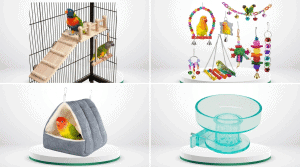 Pet Bird Accessories