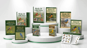 Virginia Bird Watching
