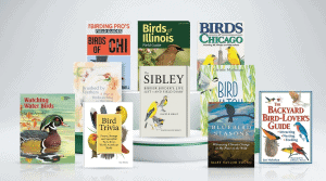 Chicago Bird Watching