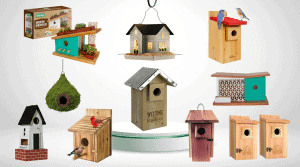 Modern Bird Houses