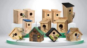 Northern Flicker Bird House