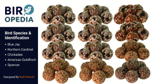 Natural Balance High Energy Fat Balls Review – 50 Fat Ball Box