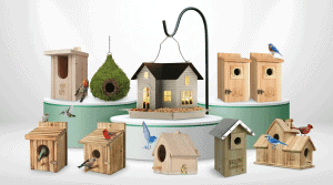 Robin Bird House