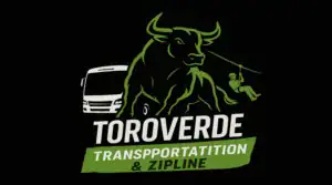 ToroVerde Logo Final 726x404 300x167 1