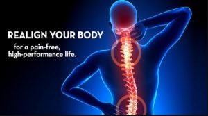 Pain Free M.O.T Daily Routine for Alignment and Poise Ability