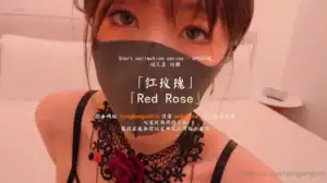 [2026 Latest] HongKongDoll Doll Sister