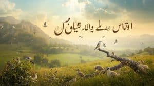 Bird Benefits in Urdu