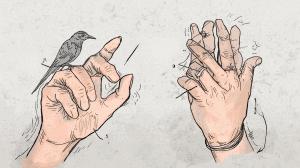 How to Make Bird Noises with Your Hands