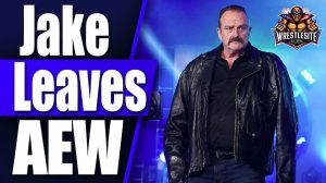 Jake Roberts Confirms AEW Exit