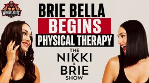 Brie Bella Begins Physical Therapy After SummerSlam Injury