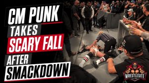 CM Punk Takes Scary Fall After SmackDown