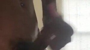 Jerking till I buss a fat nut
