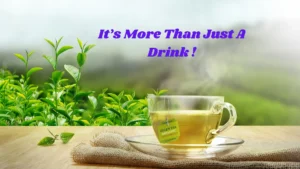 How Green Tea Help Lose Weight