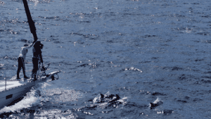 dron en documental