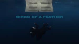 Birds of a Feather Song
