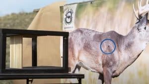Will Bird Shot Kill a Deer