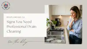 Signs You Need Professional Drain Cleaning