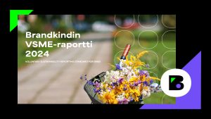 Brandkindin VSME-raportti 2024