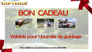 Bon cadeau - stage de pêche- DIPTERIA guide pêche mouche