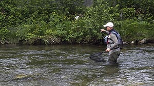 Stage initiation pêche à la mouche en rivière - DIPTERIA guide pêche mouche