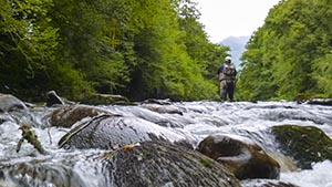 Stage perfectionnement pêche à la mouche rivière - DIPTERIA guide pêche mouche