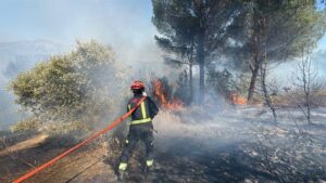 Bombero trabajando en un incendio forestal en la Comunidad de Madrid, rodeado de humo y vegetación quemada.