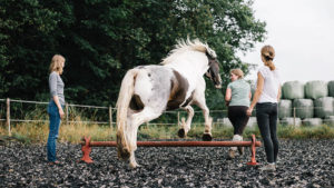 Pferd springt hinter einer Seminarteilnehmerin über ein Hindernis