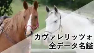 カヴァレリッツォの名鑑アイキャッチ画像。サートゥルナーリア産駒らしい気品ある馬体と、朝日杯FSの勝負服をイメージしたデザインに、血統表と馬体重推移データを添えて。