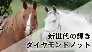 ダイヤモンドノットの名鑑アイキャッチ画像。ブリックスアンドモルタル産駒のスピード感溢れる走りと、福永祐一厩舎の管理能力を象徴するデータ集約ビジュアル。